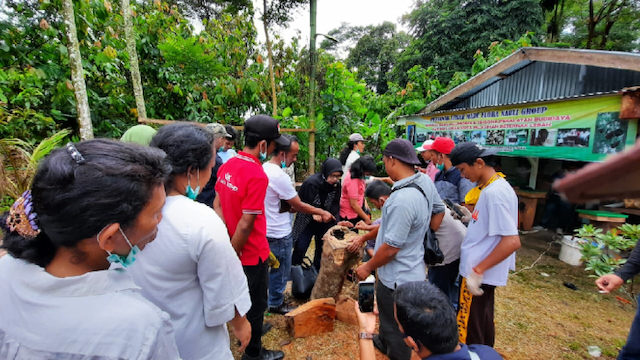 membuka_peluang_emas_bisnis_peternakan_lebah_madu