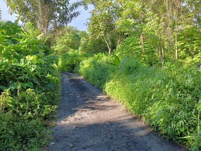 memprihatinkan_jalan_alternatif_sidamanik_saribudolok_tak_beraspal