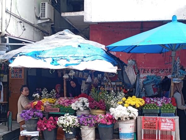 menjelang_natal_2024_pedagang_bunga_mulai_panen_rezeki