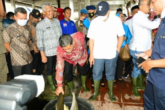 menkop_ukm_tinjau_tpi_dan_pembangunan_spbun_di_pantai_labu