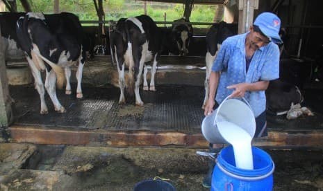 mentan_permudah_impor_sapi_perah_tingkatkan_kualitas_susu_lokal