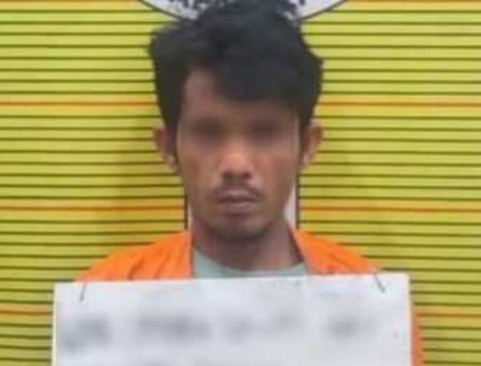 menyamar_pengedar_ganja_diringkus_sat_narkoba_polres_tapsel