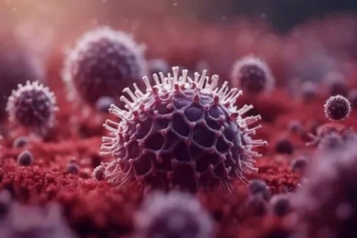 meski_belum_ada_kasus_pengamat_kesehatan_minta_waspada_virus_nipah