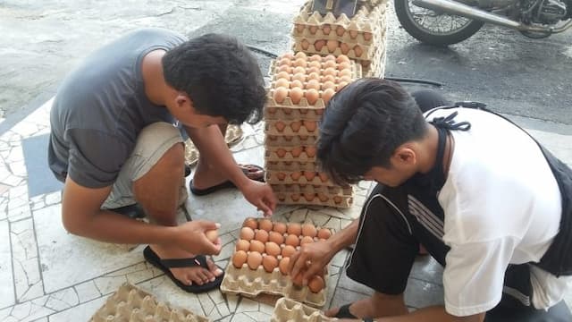 meski_dilarang_telur_infertil_banyak_diperjualbelikan