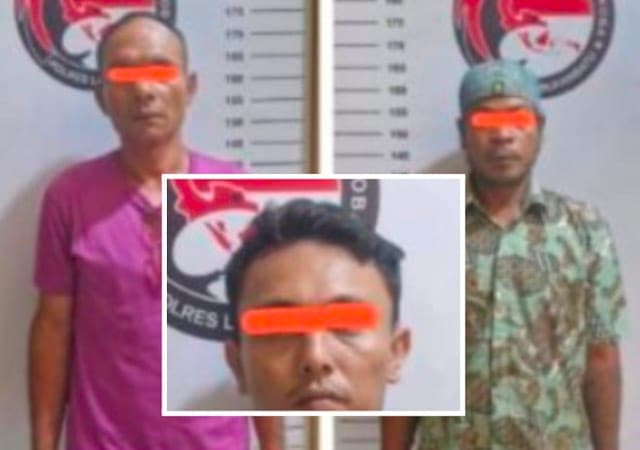 miliki_ganja_enam_orang_warga_bilah_hulu_ditahan_polisi