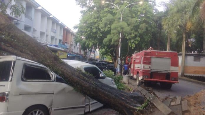 mobil_tertimpa_pohon_di_komplek_cemara_asri_begini_kondisinya