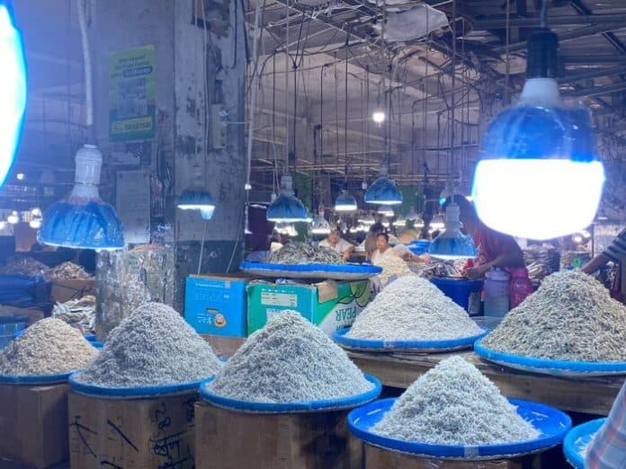 musim_penghujan_harga_ikan_teri_stabil_di_medan