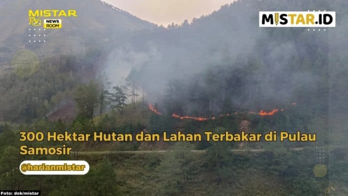 newsroom_300_hektar_hutan_dan_lahan_terbakar_di_pulau_samosir