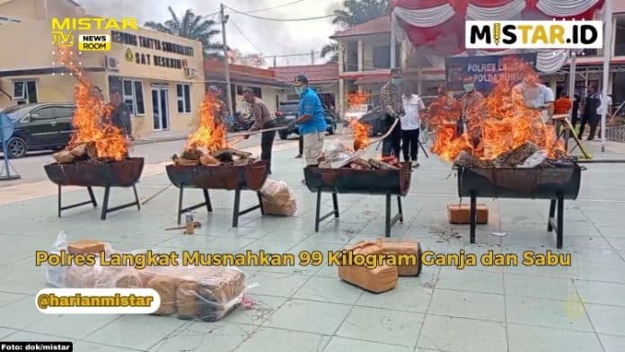 newsroom_polres_langkat_musnahkan_99_kilogram_ganja_dan_sabu