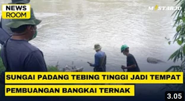 newsroom_sungai_padang_tebing_tinggi_jadi_tempat_pembuangan_bangkai_dan_kotoran_ternak