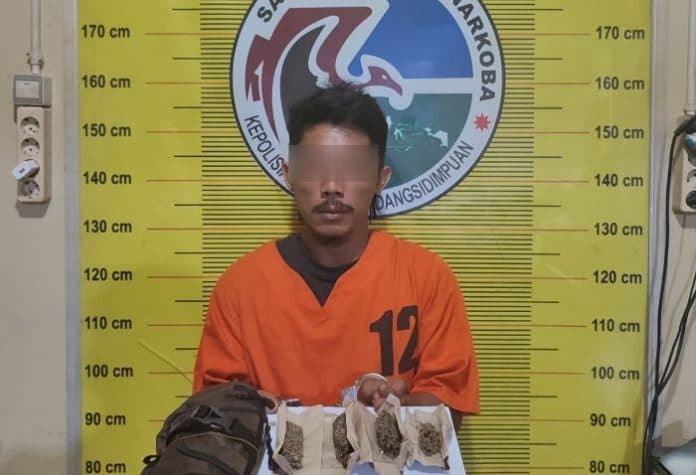 nyambi_jual_ganja_sopir_angkot_di_sidimpuan_ini_ditangkap_polisi