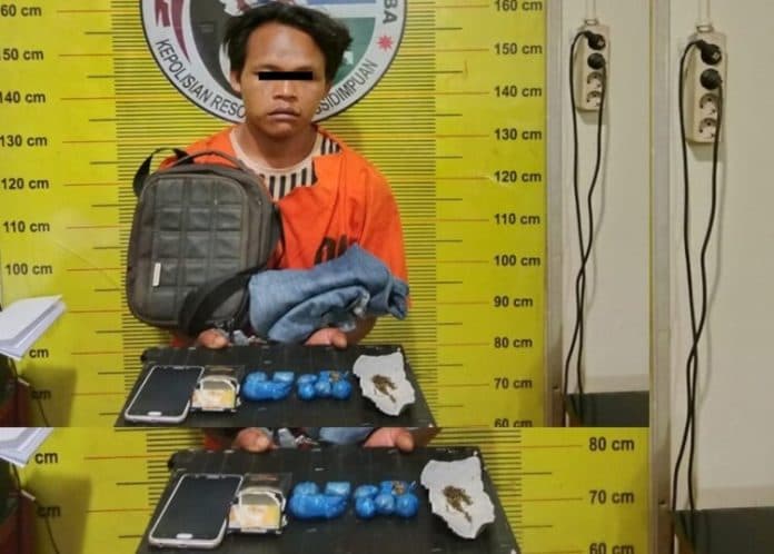 nyimpan_ganja_di_rumah_pria_ini_diciduk_polres_padangsidimpuan