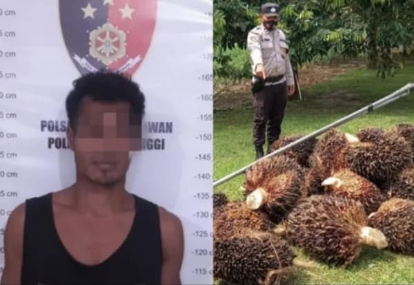 nyolong_28_tbs_ptpn_iv_kibo_terancam_lebaran_di_balik_jeruji