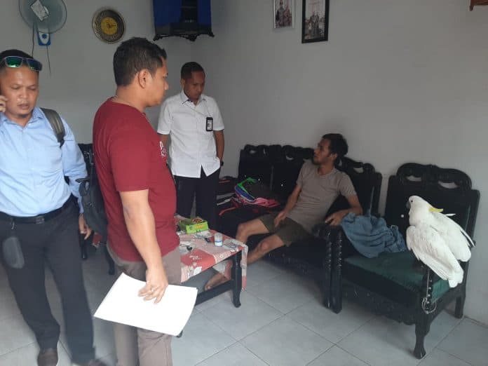 oknum_polisi_terlibat_jual_beli_satwa_dilindungi