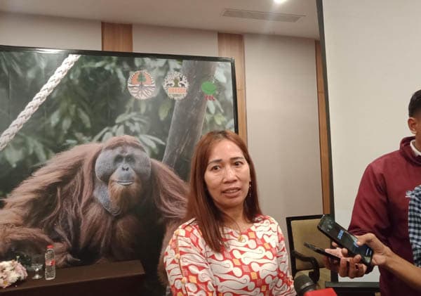 orangutan_haven_taman_perlindungan_satwa_konservasi_dan_edukasi_unik_di_sumut