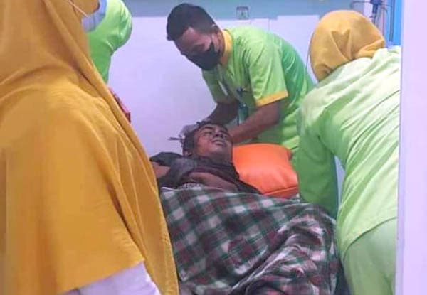 panen_cabai_warga_langkat_nyaris_tewas_diterkam_harimau