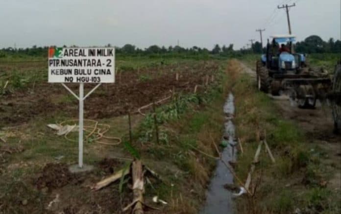 papam_ptpn_2_cabut_plank_koperasi_di_kebun_kualanamu_ini_videonya