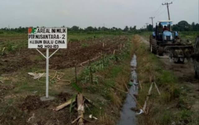papam_ptpn_2_cabut_plank_koperasi_di_kebun_kualanamu_ini_videonya
