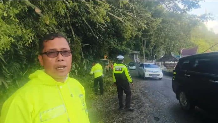 pasca_pohon_tumbang_arus_lalu_lintas_siantar_parapat_kembali_normal_setelah_4_jam_macet