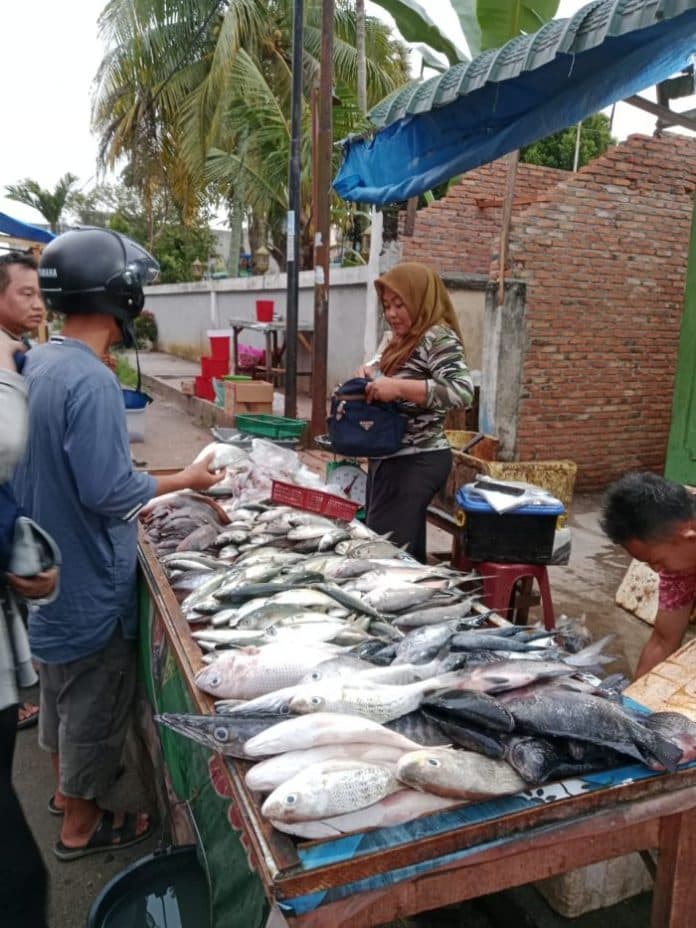 pasokan_berkurang_harga_ikan_laut_di_lubuk_pakam_kembali_naik