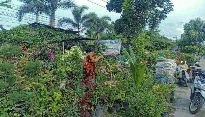 pedagang_bunga_umi_darti_merangkai_cinta_dalam_setiap_helai_bunga