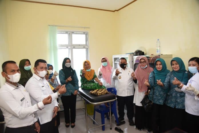 pelayanan_kb_serentak_sejuta_akseptor_gratis_di_tapsel