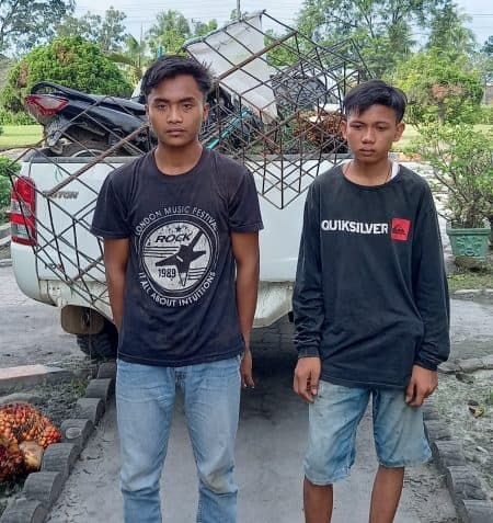 pemakai_sabu_ini_curi_sawit_milik_ptpn_4_adolina
