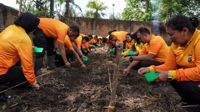 pemanfaatan_lahan_produktif_program_ketahanan_pangan