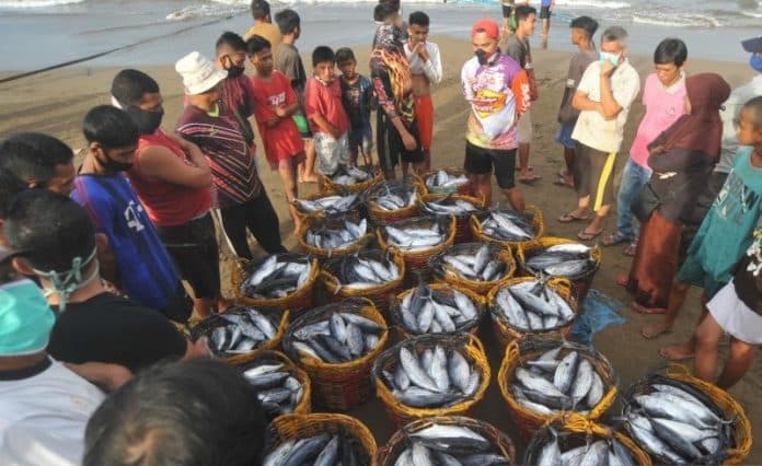 pembatasan_tangkap_ikan_ditarget_berlaku_januari_2023_tinggal_tunggu_restu_jokowi