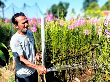 pembudidaya_anggrek_tantang_pemerintah_dengan_tawaran_menarik