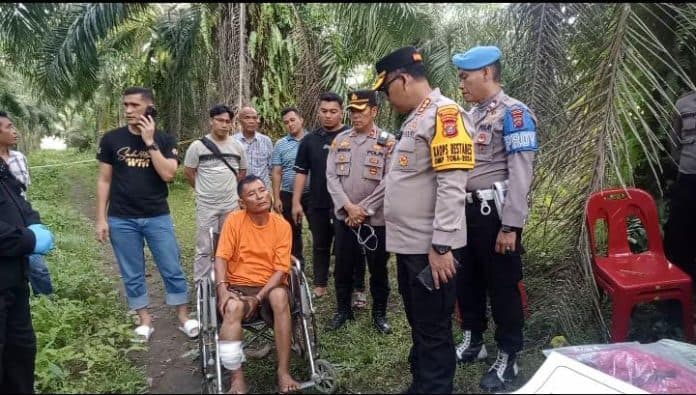 pembunuhan_perempuan_di_ladang_sawit_desa_sampali_pelaku_bunuh_irt_saat_hari_ulang_tahunnya