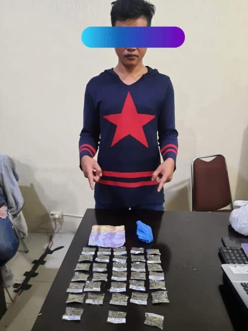 pemilik_ganja_ditangkap_dari_kedai_tuak_di_karo