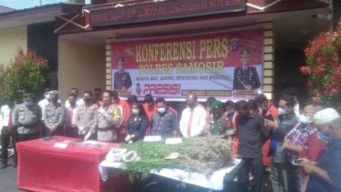 pemilik_ladang_ganja_di_samosir_berprofesi_petani