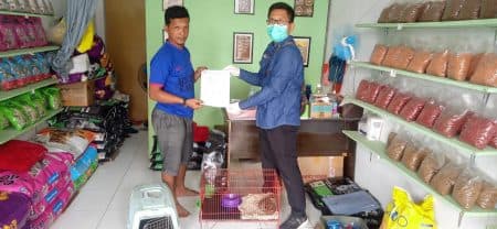 pemilik_petshop_di_langkat_serahkan_2_ekor_kucing_hutan_ke_bksda_sumut