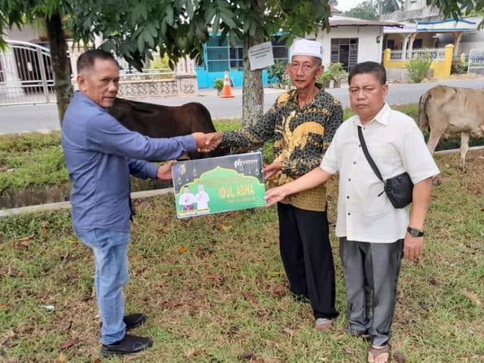 pemkab_batu_bara_serahkan_30_ekor_sapi_kurban