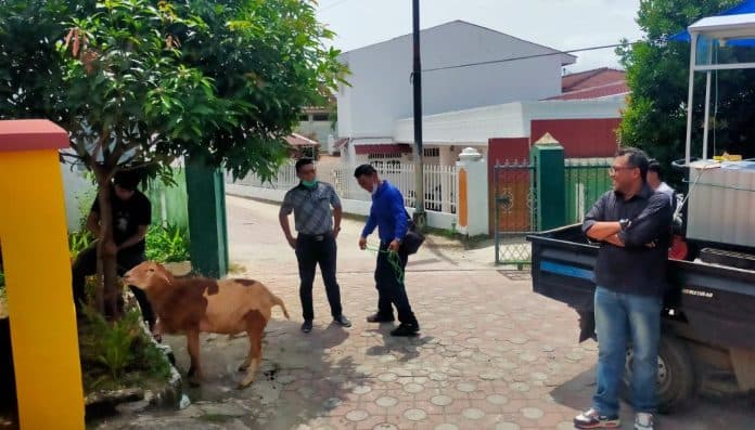 pemko_siantar_monitoring_persiapan_penyembelihan_hewan_kurban_di_mesjid