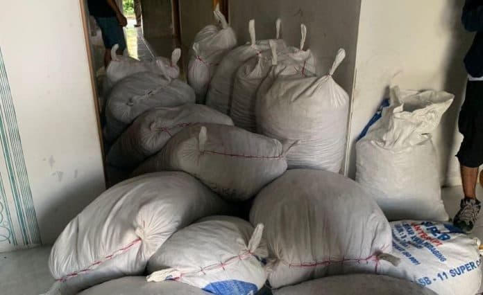 penampakan_1_ton_sisik_trenggiling_dan_manfaatnya_di_dunia_medis