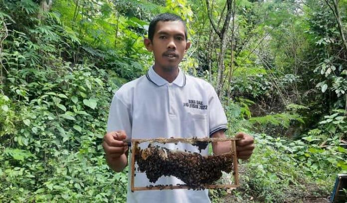 penangkaran_lebah_di_simalungun_usung_konsep_edukasi_wisata