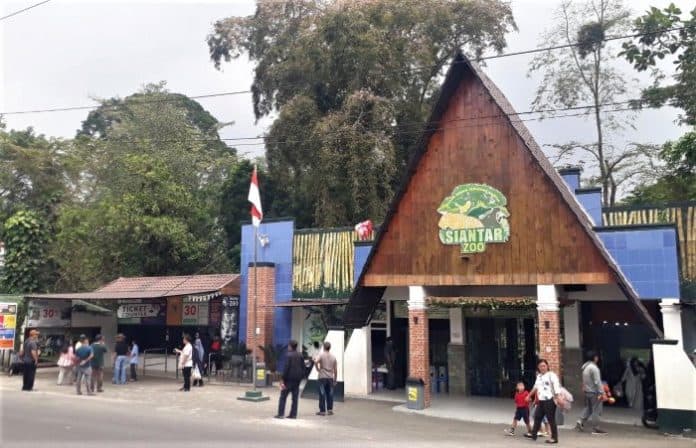 pengunjung_kebun_binatang_siantar_meningkat_drastis_selama_liburan_sekolah