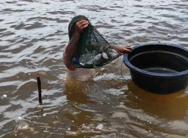 penjaring_ikan_pinggiran_di_pantai_barat_masih_eksis_sekadar_bertahan_hidup