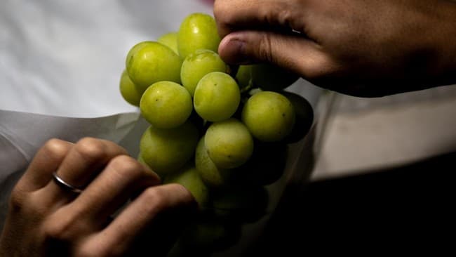 penjual_buah_thailand_menjerit_dengan_kemunculan_residu_racun_di_anggur_muscat