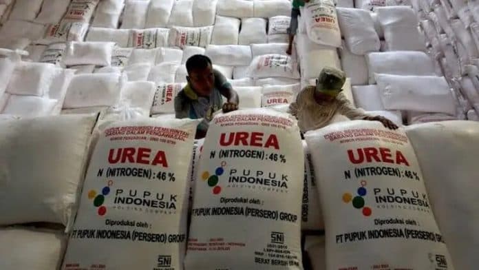 penyaluran_pupuk_subsidi_di_indonesia_diklaim_rumit