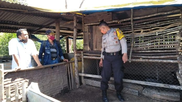 perburuan_makluk_misterius_di_siborongborong_berlanjut_di_radius_3_km_bbksda_sumut_bukan_mistis