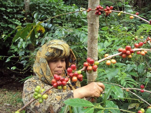 perempuan_berpartisipasi_tingkatkan_sektor_ekonomi_di_sumut