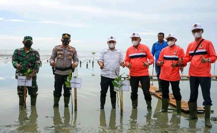 peringati_hlhs_pemkab_batu_bara_tanam_3100_pohon_mangrove