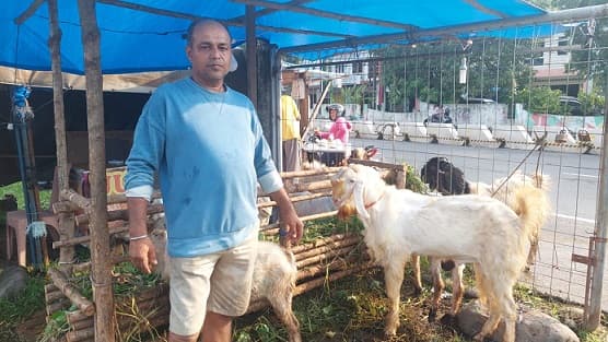 permintaan_melonjak_meski_harga_hewan_kurban_di_medan_naik