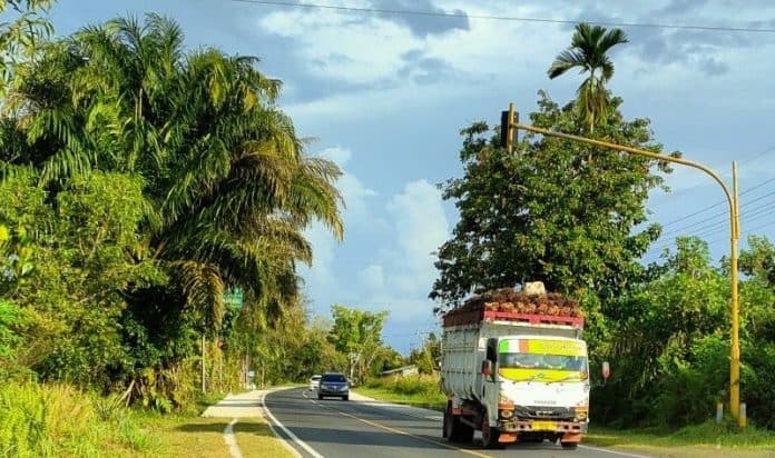 pertamina_tegaskan_angkutan_industri_sawit_wajib_pakai_bbm_nonsubsidi