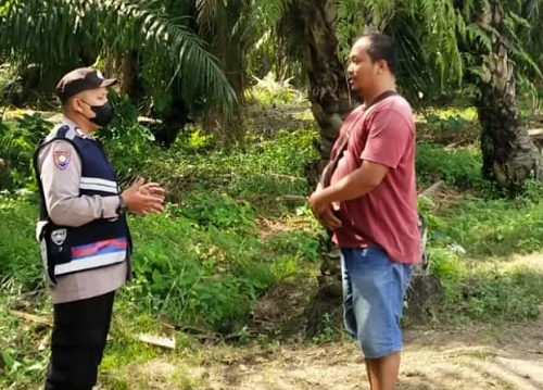petani_desa_paya_bagas_sambut_gembira_ekspor_cpo_dibuka_lagi
