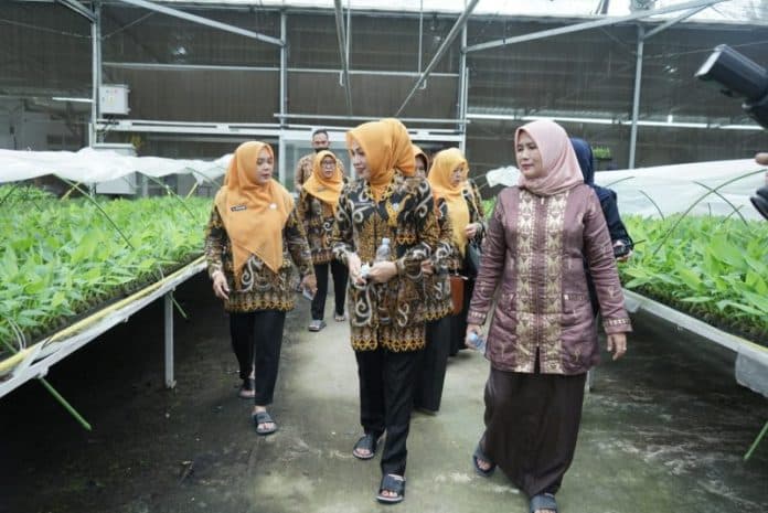 pkk_kabupaten_madina_pelajari_prestasi_nasional_yang_diraih_asahan