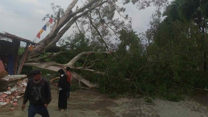 pohon_beringin_berusia_puluhan_tahun_tumbang_akses_menuju_parkir_belakang_polda_sumut_terganggu